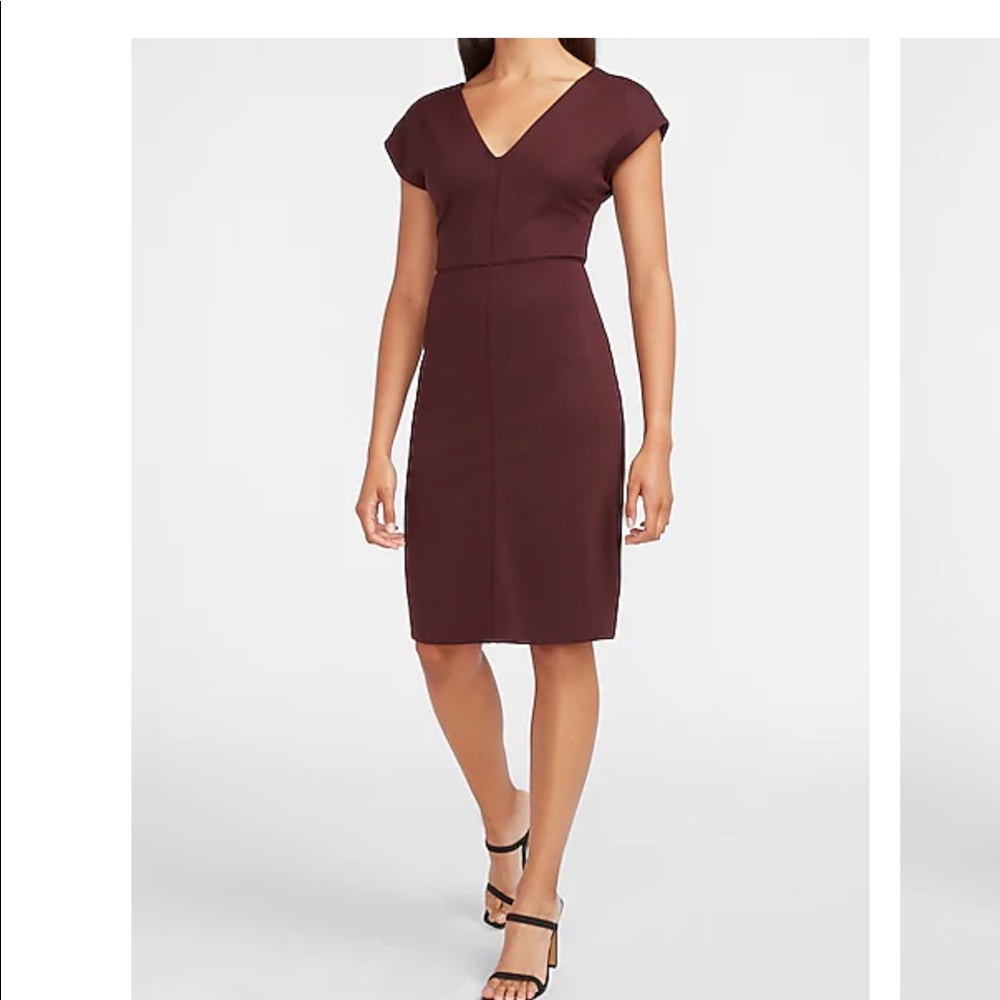 Express Seamed V-Neck Sheath Dress